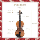 Eastar 4/4 Full Size Violin Set Matte Fiddle for Beginners Adults with Hard Case, Rosin, Shoulder Rest, Bow, Tuner and Extra Strings (Imprinted Finger Guide on Fingerboard), EVA-3 by TinyTreasures Baby Boutique