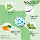 PURA D'OR 16 Oz All-in-One Calming Baby Wash & Shampoo For Hair & Entire Body, Tear Free, Sulfate Free, Natural Aloe Vera, USDA Biobased Gentle Formula by TinyTreasures Baby Boutique