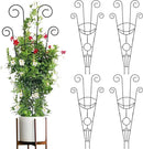 ZOUTOG Trellis for Climbing Plants Indoor 30 Inch, Houseplant Trellis for Potted Plants Metal 4Pcs for Vine Ivy Flower Support,Moon Shape,Black