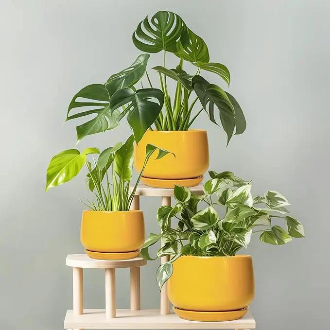 G EPGardening Ceramic Pots for Plants - 7 Inch Plant Pot with Drainage Hole and Saucer, Modern Ceramic Planter for Indoor Outdoor, Round Flower Planter, Gifts for Plants Lovers, Home Decor, Yellow, photo 7 of 8