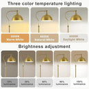 Bright LED Gold Reading Floor Lamp with Remote Control and Bluetooth Dimming,Living Room Bedroom Bedside Office Study Library Adjustable Standing Tall Lights, Unique Modern Brass Home Decor Essentials by CozyNest Decor