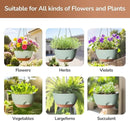 12 Inch Hanging Baskets for Plants Outdoor, Hanging Planters for Indoor Outdoor Plants, Hanging Planter with Self Watering, Hanging Flower Pots (Green) by GreenHaven Gardens
