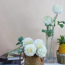 Artificial Ranunculus Long Stem Buttercup Silk Flowers 6pcs for Home Decor and Wedding Decorations(White 1) by CozyNest Decor