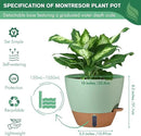montresor 2 Pack 10 inch Plant Pots, PP Plastic Self Watering Planter with Drainage and Tray for Indoor Outdoor Plants, Water Level Window & Reservoir Flower Pots Decorative Planter (Green) by CozyNest Decor
