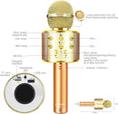 Microphone for Kids Voice Changer Karaoke Microphones Boy Girl Gifts Age 3-12 Portable Child Microphone Karaoke Kid Wireless Bluetooth Microphones Birthday by TinyTreasures Baby Boutique