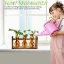 Plant Propagation Station Plant Terrarium Unique Birthday Gifts for Women Plant Lovers Home Office Decor Planter with Wooden Stand - 3 Bulb Glass Vase by GreenHaven Gardens