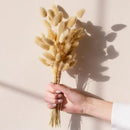 120 PCS Bunny Tails Dried Flowers, Dried Pampas Grass Bouquet, Boho Table Decor, White Pampas Grass Small, Dried Bunny Tails, Pampas Grass for Wedding, Home, Rustic Party, Baby Shower Decorations by CozyNest Decor