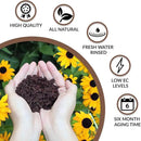 Coco Bliss Coco Coir + Organic Perlite + Worm Castings + Neem Meal Fertilizer + Kelp Meal Fertilizer + Organic Biochar for Plants - Potting Soil & Fertilizer Mix for Plants - Organic Gardening Bundle by GreenHaven Gardens