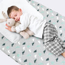 Potty Training Pee Pads for Kids, Toddlers Mattress Pad 100% Waterproof, Non Slip 34''x 36'' Bed Wetting Pad for Twin Beds, Washable, Reusable Mattress & Sheet Protector, Dinosaur by TinyTreasures Baby Boutique