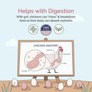 Chicken Grit for Layer & Grower Chickens Age 8-20+ Weeks - 100% Natural Mineral Chicken Grit Quartzite, Poultry Grit, USA Mined, 50 lbs by GreenHaven Gardens