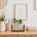YIBOT Propagation Stations,Plant Terrarium with Retro Wooden Stand, Unique Gardening Birthday Gifts for Women Plant Lovers, Hydroponics Plants Home Office Garden Decor - 3 Bulb Glass Vases by CozyNest Decor