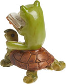 Top Collection Miniature Fairy Garden & Terrarium Frog Reading Book on Turtle Statue, Small, Green, Orange by GreenHaven Gardens
