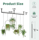 Plant Hanger Indoor with 6 Hanging Chains Hanging Planters for Indoor Plants Hanging Plant Holder Window Plant Rod Black Metal Shelves(70.8 Inch Pot not Included by CozyNest Decor