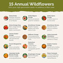 Eden Brothers Orange You Glad Flower Mixed Seeds for Planting, 1/4 lb, 120,000+ Seeds with Dahlia, Double Strawflower | Attracts Pollinators, Plant in Spring or Fall, Zones 3, 4, 5, 6, 7, 8, 9, 10 by GreenHaven Gardens