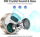 XLEADER Mini Bluetooth Speaker (Travel Case Provided) HD Sound&Rich Bass, Touch Design, 12-15H Playtime, Support Aux Input, Micro SD, Mic, Small, for iPhone Laptop Shower Office, Ideal Gifts, Gold by TinyTreasures Baby Boutique