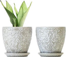 6 Inch Ceramic Planter Pots with Drainage Hole and Saucers for Indoor Plants, Garden Pots for Succulent, Orchid, and Flower - Set of 2 by CozyNest Decor