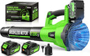 Tietoc Leaf Blower Cordless, 1200W Brushless Electric Leaf Blower with 2 X 5.0Ah Battery, 6 Speed Levels, 2 Extended Tube and Nozzles, Powerful Leaf Blowers for Garden, Patio, Lawn Care (Green) by GreenHaven Gardens