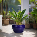 Ceramic Planter - 13 Inch Indoor Plant Pot for Plants with Drainage Hole and Saucer Large Planter Round Outdoor Flower Pot Mid-Century for House Patio Room Decor Blue by GreenHaven Gardens