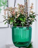 4.5 Inch 2 Pcs Self Watering Hanging Planter Indoor Plant Pots Drainage Holes, Outdoor Small Hanging Planters Flower Pot Basket, Visible Water Level, Plant Hanger Home Decor, Gardening by GreenHaven Gardens
