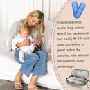 Insulated Breastmilk Cooler Bag with 2 Ice Packs - Breastmilk Cooler Organizer Bag for Daycare, Breastfeeding Mom Travel Outdoor by TinyTreasures Baby Boutique