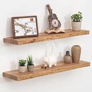 Floating Shelves for Wall, 32" Live Edge Solid Elm Wood Floating Shelf, Wall-Mounted Display Shelves with Invisible Heavy-Duty Metal Bracket, Floating Shelf for Kitchen (Natural, Set of 2) by CozyNest Decor