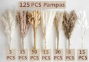 125 PCS Dried Pampas Grass Bouquet, Boho Table Decor, Bunny Tails Dried Flowers, Brown Pampas, White Pampas Grass for Weddings, Home Decor, Rustic Parties, and Baby Shower Decorations by CozyNest Decor