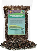 Monstera Borsigiana Potting Mix - Optimal Nutrients for Vibrant Growth - 1 Quart by GreenHaven Gardens