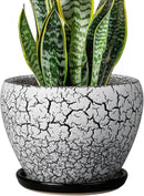 Ceramic Plant Pot 8 Inch - Ceramic Planter for Indoor Plants, Round Flower Pot with Drainage Hole and Saucer, Glaze White and Black by GreenHaven Gardens
