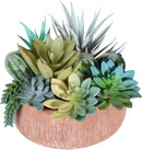 Premium Assorted Artificial Succulent Collection - Large Real Touch Artificial Cactus, Aloe Vera & Succulent Plants Artificial with Pots for Home Office Indoor (Artificial Coconut Shell - Pot) by CozyNest Decor