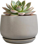 G EPGardening Ceramic Plant Pots - Round 6 Inch Modern Planter with Drainage and Plant Saucer Indoor Outdoor for Flower, Garden Decor, Gifts for Home, Retro Gray by GreenHaven Gardens