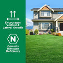 Maximum Green & Growth Fertilizer High Nitrogen 28-0-0 Liquid Lawn Food Spray Spring & Summer- Any Grass Type- Simple Lawn Solutions - Concentrated Quick & Slow Release Attached Sprayer (32 Ounce) by GreenHaven Gardens