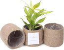 Jute Planter Basket-Woven Jute Rope Covers for Decorating Indoor/Outdoor Succulents, Small Plant Pots-Set of 3-Multi-Purpose Storage Bins 4.5 Inches -Modern Style Decor -Natural Jute by GreenHaven Gardens