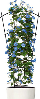 4 Pack 32'' Indoor Plant Trellis for Potted Plants Climbing Outdoor Metal Garden Trellis Houseplants Flowers Vine Ivy,Fan Shape, Black by GreenHaven Gardens