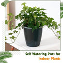 Self Watering Pots for Indoor Plants, 12-Pack 5'' Self Watering Planter with Drainage Holes, Small African Violet Pots with Water Level Indicator, Clear Wick Pot, Black by CozyNest Decor