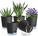 4 inch Self Watering Pots for Indoor Plants, 5 Pack Small Flower Plant Pots with Drainage Holes and Clear Reservoirs, Visible Water Level, Plastic Planters with Wicking Rope, Black by GreenHaven Gardens