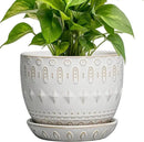 G EPGardening Ceramic Plant Pot - Succulent Pots with Drainage Hole and Saucer 5 Inch Planter for Indoor Plants Outdoor Decorative Round Flower Pot White by GreenHaven Gardens