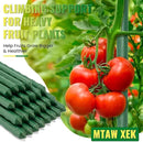 Premium Garden Stakes 58 Inch 5ft 25 Pack, Heavy Duty Tomato Plant Stakes for Outdoor Plants, Rust Resistant Metal Garden Poles and Sticks for Vegetables, Flowers, and Climbing Plants (green, 58 Inch) by CozyNest Decor