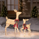 2 Pcs Reindeer Christmas Decoration, Xmas Lighted Golden Shimmering Doe and Fawn Display Set with 105 Warm White Lights for Yard Lawn Indoor Outdoor by CozyNest Decor