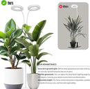 GLOWRIUM Indoor Grow Light, 40 Watt Full Spectrum LED Plant Growth Light with Stand, Adjustable Height with Timer 3/9/12 hrs, White LED Plant Lamp by GreenHaven Gardens