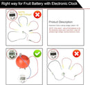EUDAX Fruit Battery Science Experiment Kit for DIY School Home Teaching Equipment, Orange Lemon Potato Electronic Clock Science Project Kit Physics Educational for Students Teachers (4 Set) by TinyTreasures Baby Boutique