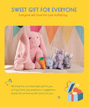 5 Pieces Rabbit Stuffed Animals for Girls,1 Mommy Rabbit with 4 Babies,Plush Bunny Stuffed Toy Gifts for Kids Children 3 4 5 6 7 8 9 Years,Soft Stuffed Bunny for Christmas,Birthday,Party Decorations by TinyTreasures Baby Boutique