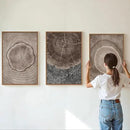 SIGNINART Beige Tree Ring Framed Canvas Wall Art Set, Abstract Black and White Rustic Wood Wall Decor, Neutral Wood Stump Artwork, Modern Art Prints for Bedroom Living Room Office 16"x24"x3 by CozyNest Decor