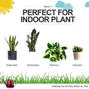 WhaleLife Indoor Watering Can for House Bonsai Plants (1.4L, Red) by GreenHaven Gardens