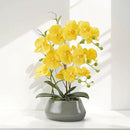Orchid Artificial Flowers with Gray Vase Large Silk Faux Phalaenopsis Flowers for Dining Room Table Floral Centerpieces Indoor Decoration,Yellow by CozyNest Decor