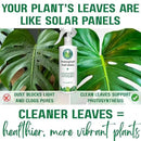 Houseplant Leaf Shine Spray – All-Natural Leaf Cleaner and Gloss for Healthy Shine & Better Photosynthesis | Perfect for House Plants and Foliage | 8 oz by GreenHaven Gardens