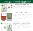 Hanging Planter Self Watering 10 Inch, 2 Pack Indoor Outdoor Hanging Baskets, Hanging Flower Pots with Drainage Hole & 2 Kinds of Plant Hangers for Garden Home Decor(Grey)… by GreenHaven Gardens