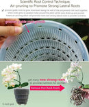 6 inch Orchid Pots with Holes for Repotting with Excellent Airflow, Set of 1, Double Layer Plastic Imitate Ceramic Orchid Planter, Clear Orchid Pot Match Decorative Orchid Container by GreenHaven Gardens