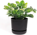Elly Décor 8 inch Plastic Cylinder Planter Pot with Self-Watering Saucer and Drainage Hole,Lightweight & Extremely Durable, 8"x 8", Black by CozyNest Decor