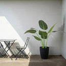 Worth Garden Artificial Bird of Paradise Plant 3.8ft, Faux Tropical Tree for Home and Office Décor, 45in Lifelike Greenery for Indoor and Outdoor Use by CozyNest Decor
