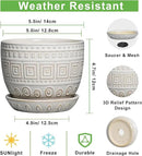 G EPGardening Ceramic Pots for Plants - 5 Inch Plant Pot Indoor with Drainage Hole and Saucer, Outdoor Flower Pot, Decorative Round Planter for Succulent Orchid Snake Plants, White by GreenHaven Gardens